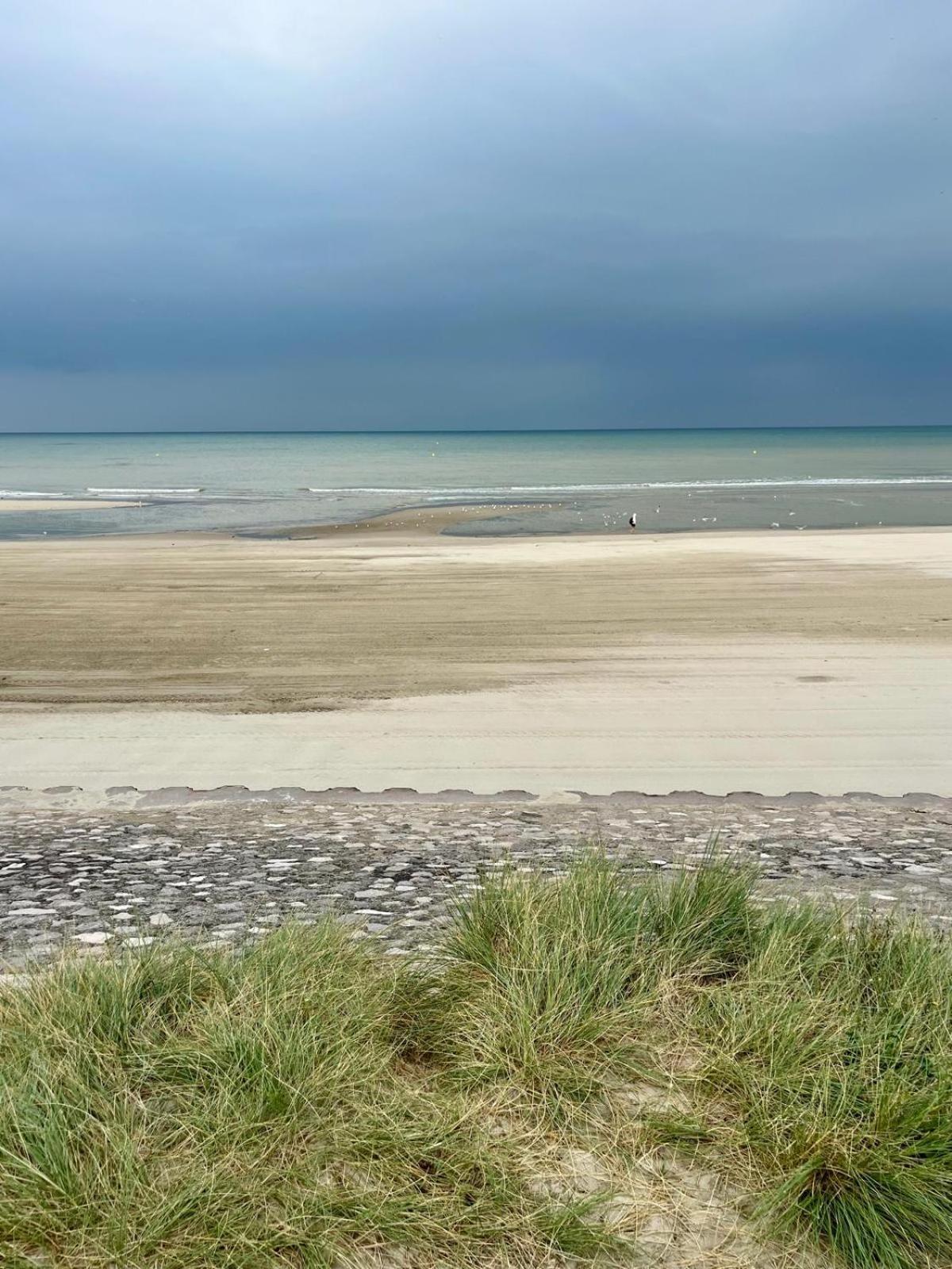 L Oree De La Pinede Hardelot Plage A 800 Metres De La Mer Sous Les Pins Екстериор снимка
