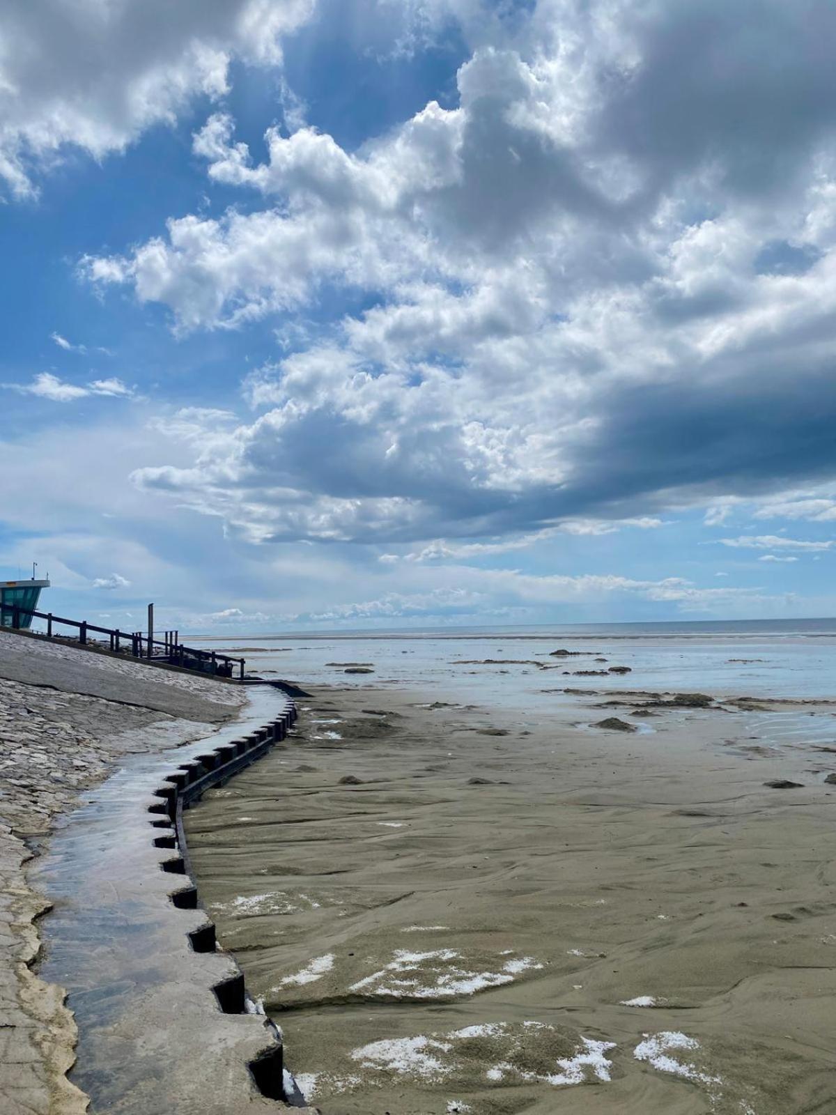 L Oree De La Pinede Hardelot Plage A 800 Metres De La Mer Sous Les Pins Екстериор снимка