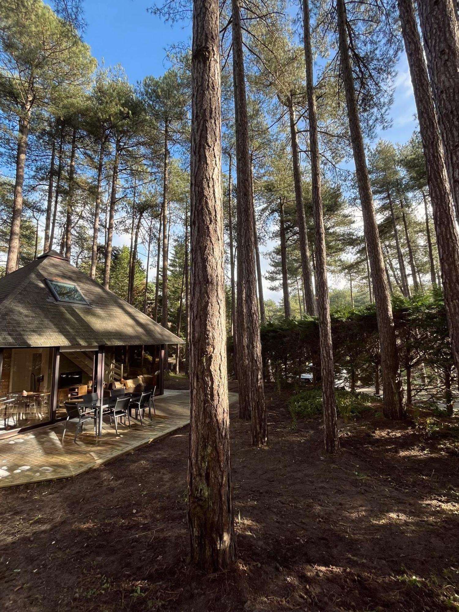 L Oree De La Pinede Hardelot Plage A 800 Metres De La Mer Sous Les Pins Екстериор снимка