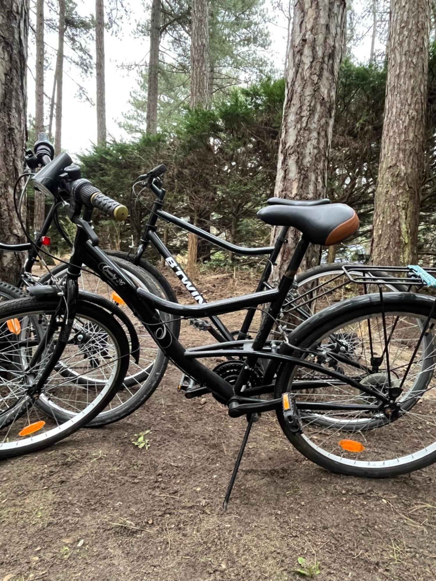 L Oree De La Pinede Hardelot Plage A 800 Metres De La Mer Sous Les Pins Екстериор снимка