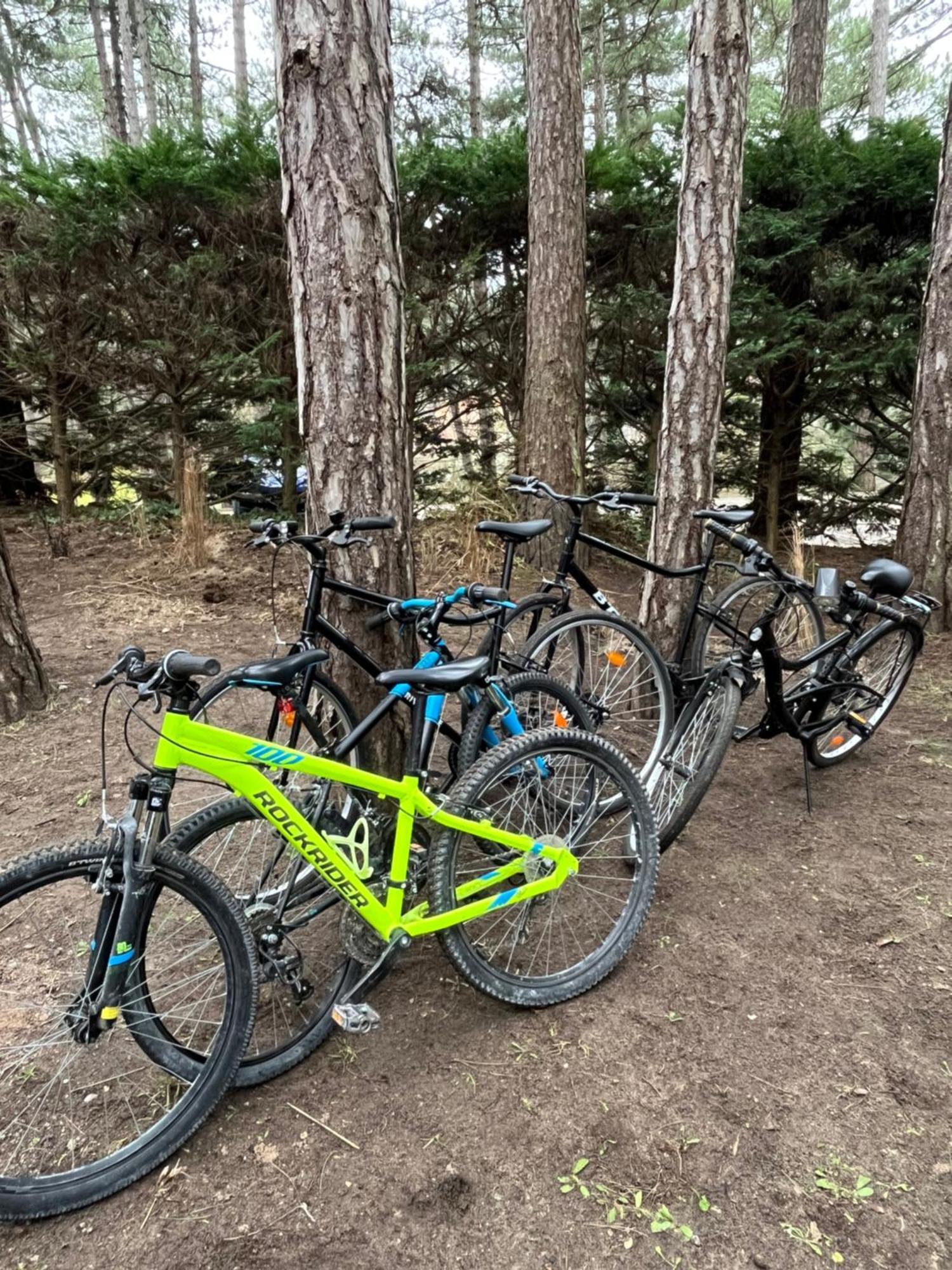 L Oree De La Pinede Hardelot Plage A 800 Metres De La Mer Sous Les Pins Екстериор снимка