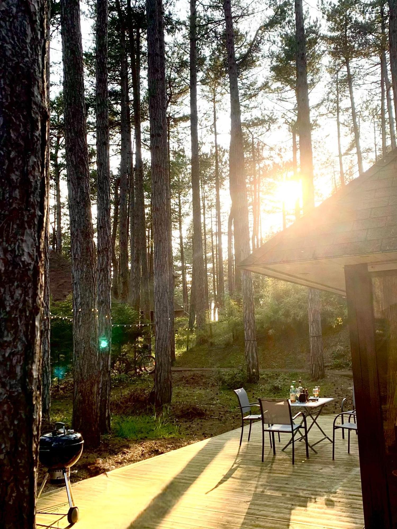 L Oree De La Pinede Hardelot Plage A 800 Metres De La Mer Sous Les Pins Екстериор снимка